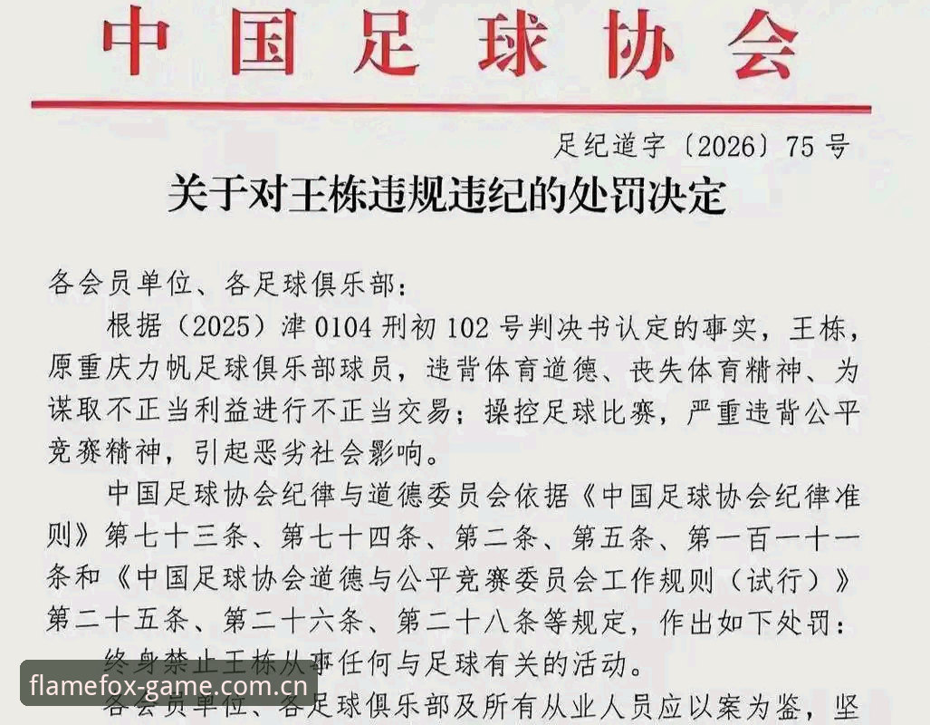 足协第三批禁足名单深度解读：从操作角度看中国足球反腐行动